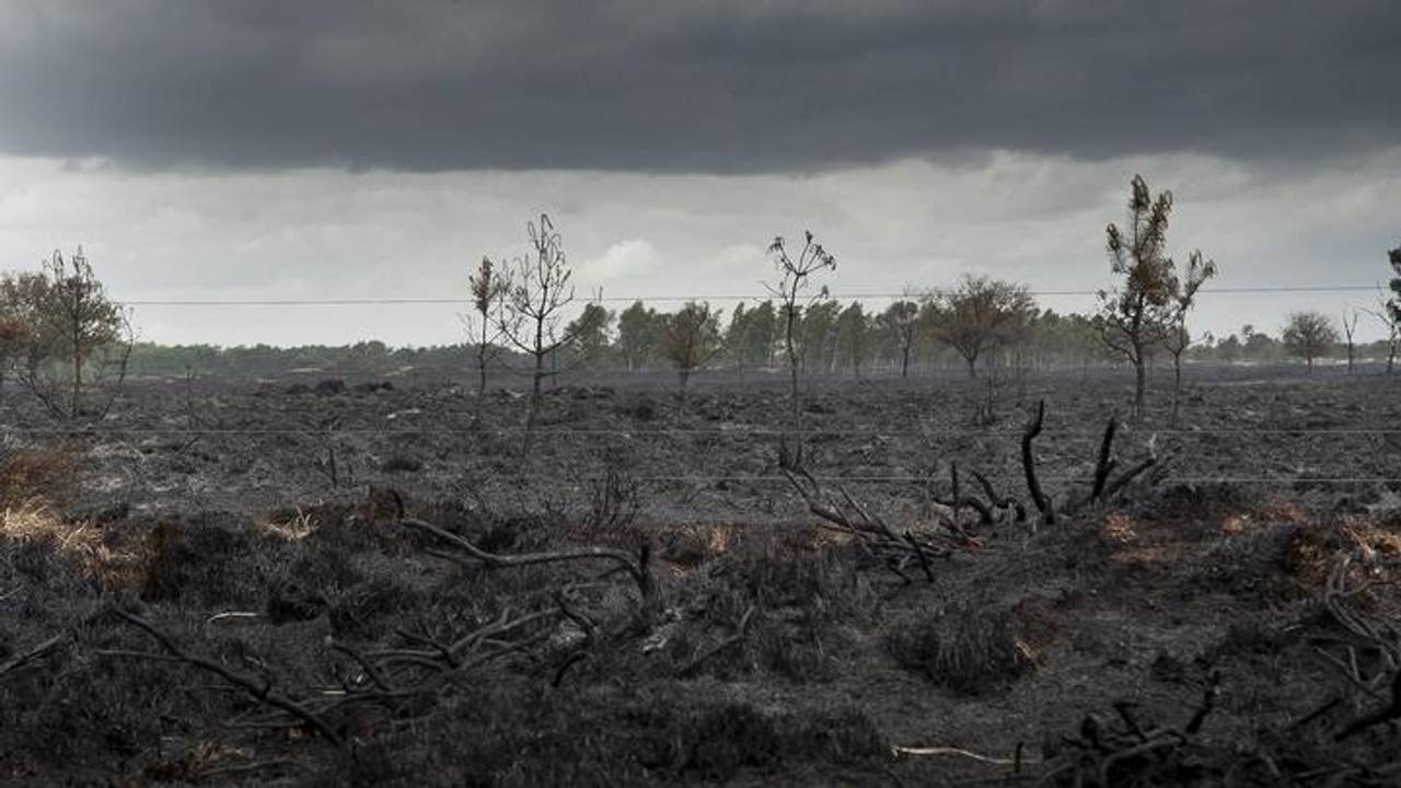 De brand verwoestte 600 hectare natuurgebied. (foto: ANP)