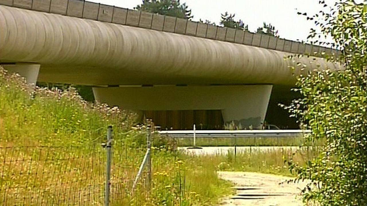 Zoiets moet het worden.