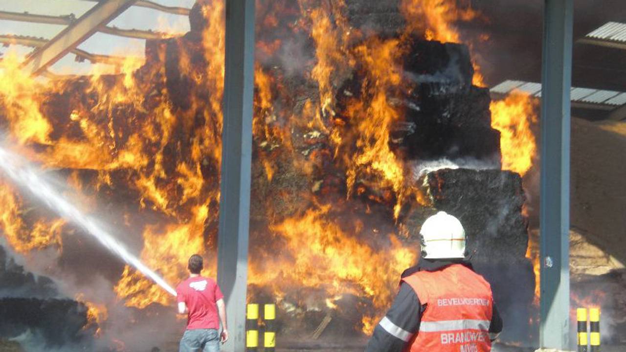 De schuur ligt vol hooi. ( Foto's Niek van Oost – WerkendamActueel.nl)