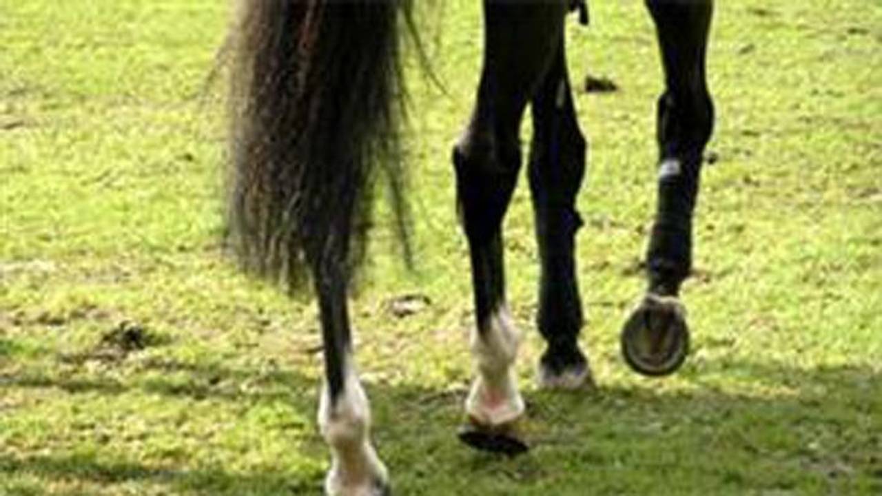 Van de Pol wint in Valkenswaard