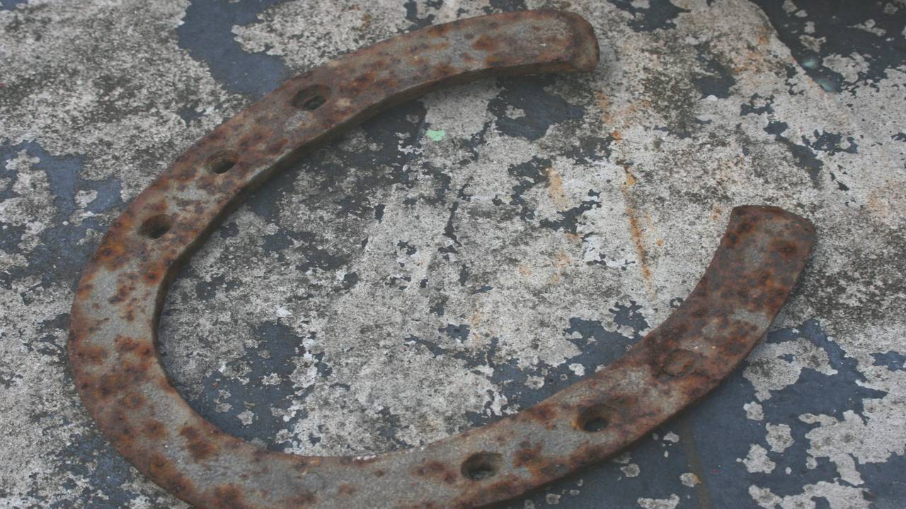 Paardenevenementen Nistelrode en Uden gaan door (Foto: Stock.xchng)