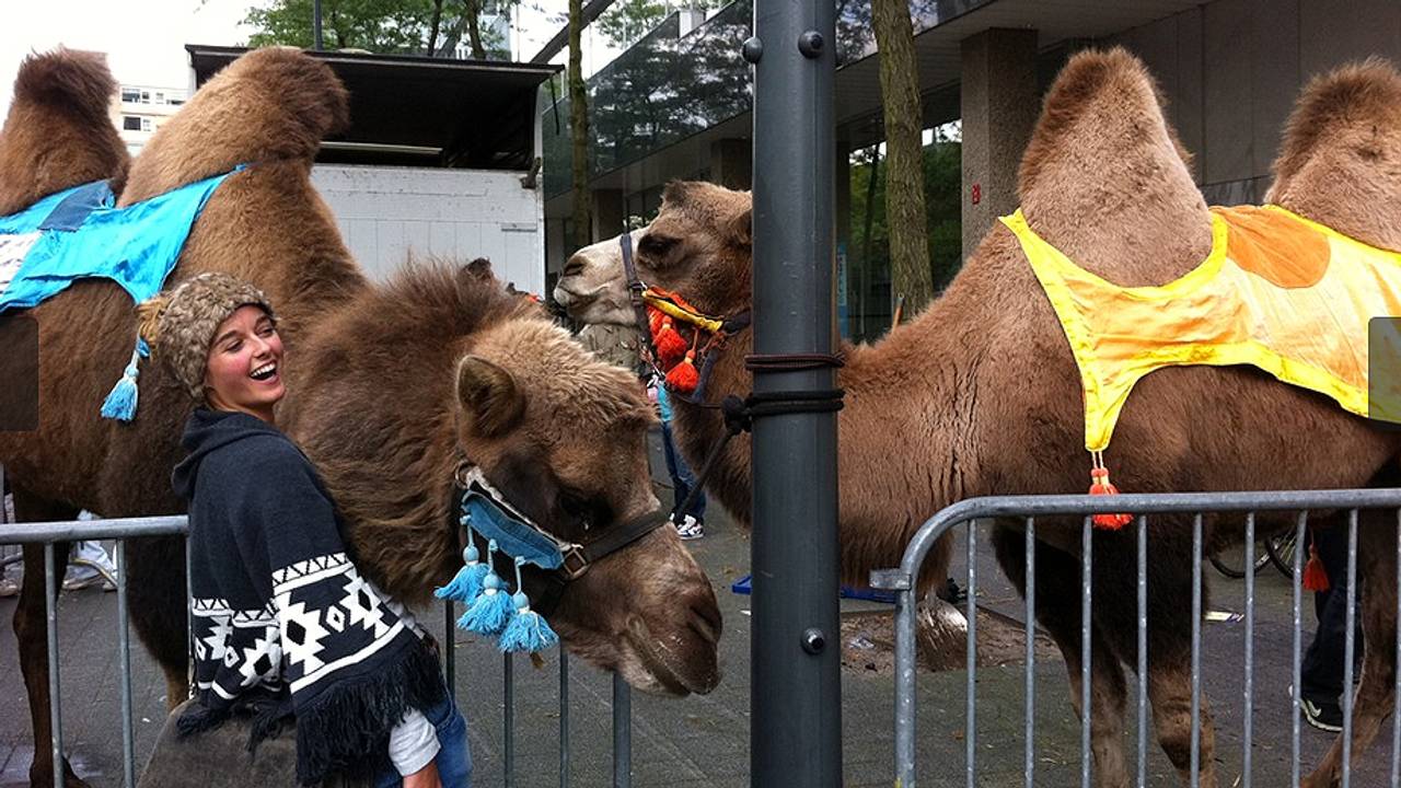 Ga naar slide 1
