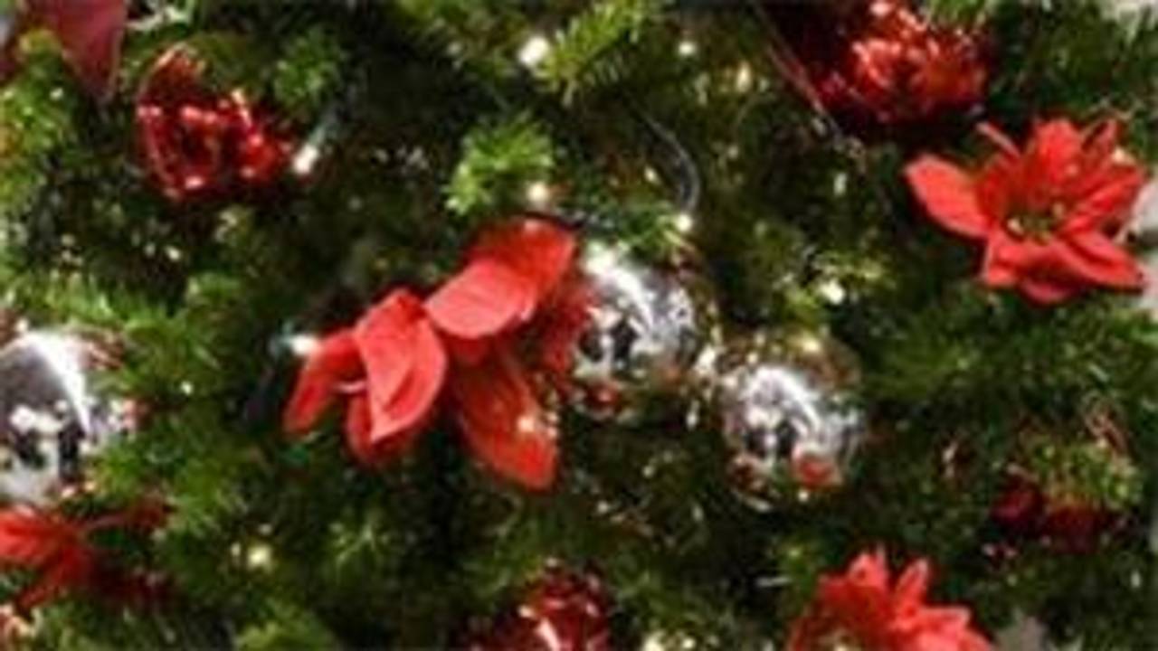 Sobere kerst in Breda