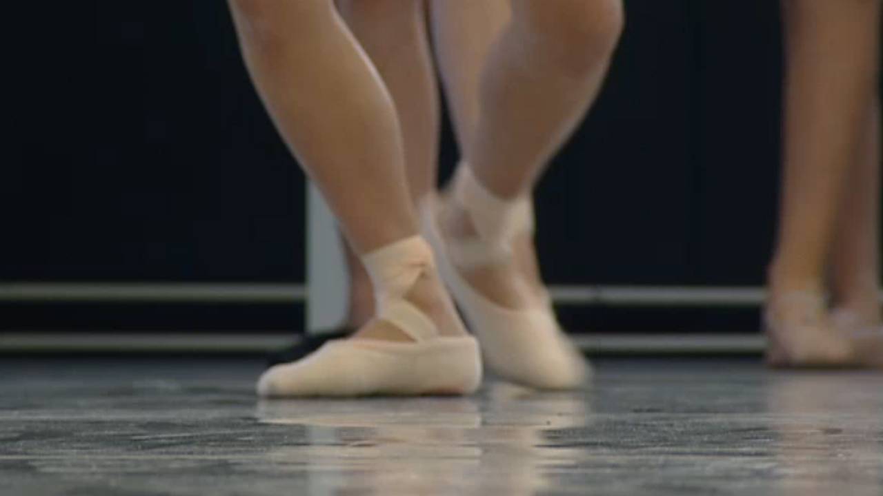 Onderzoekers NHTV: 'Podiumkunstenbezoek geen linkse hobby.'