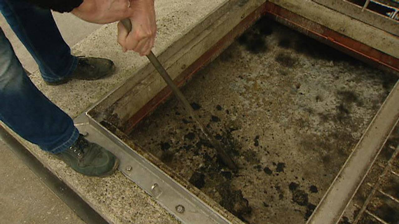 Vet in het riool kost veel extra geld