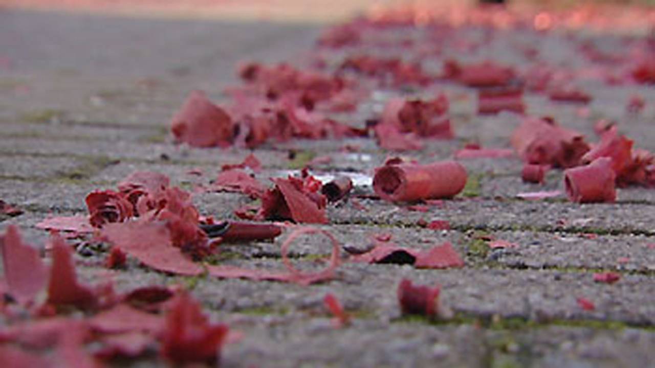 Schoonmaakactie in Drunen (archieffoto)