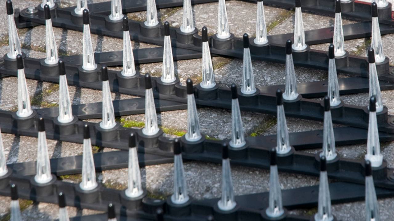 Een spijkermat hield de inbreker op de A16 bij Breda tegen