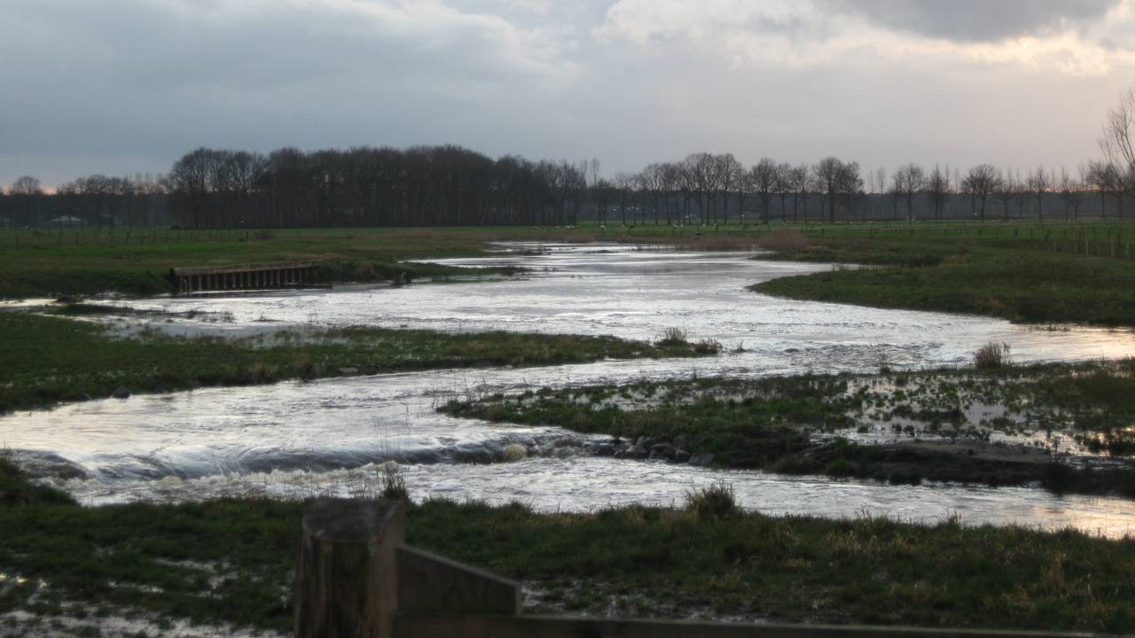 Het water in de Kleine Aa staat hoog. (Foto: Waterschap De Dommel)