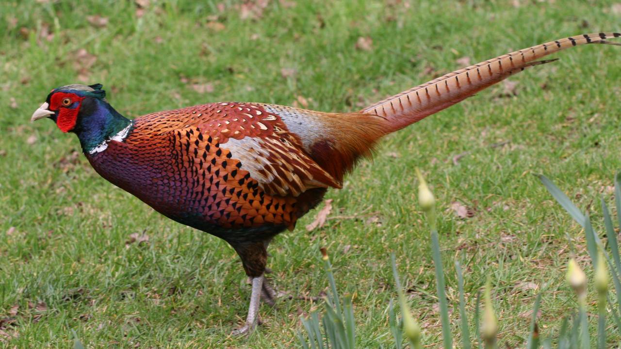 (archieffoto: sxc.hu)