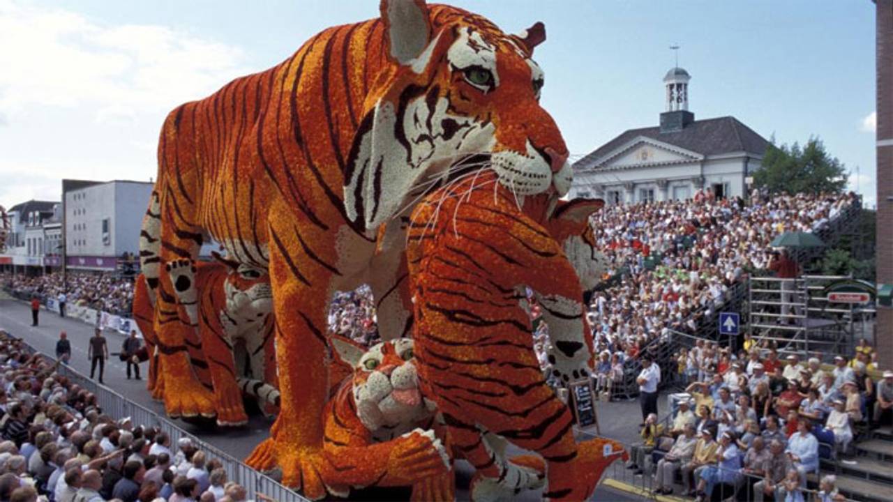 De tijger won in 2002 het corso.