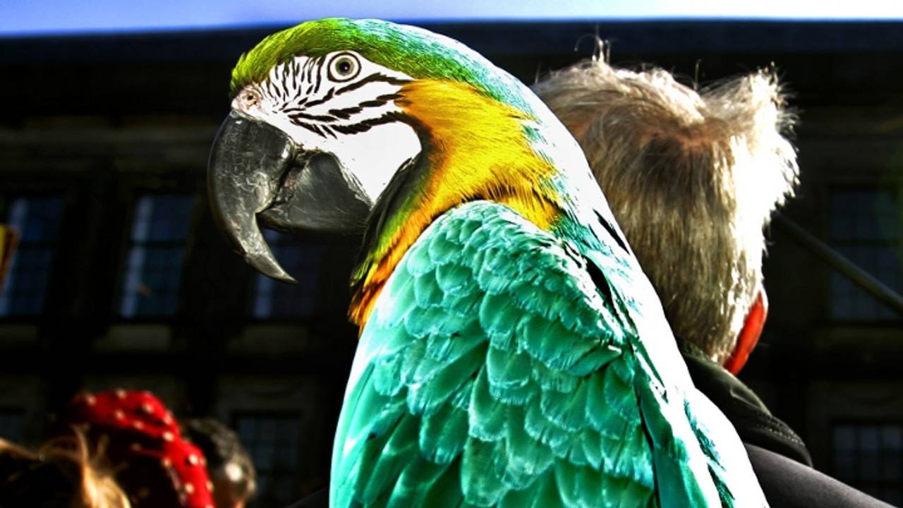 Toch geen nieuwe eigenaren bij Zoo Veldhoven.