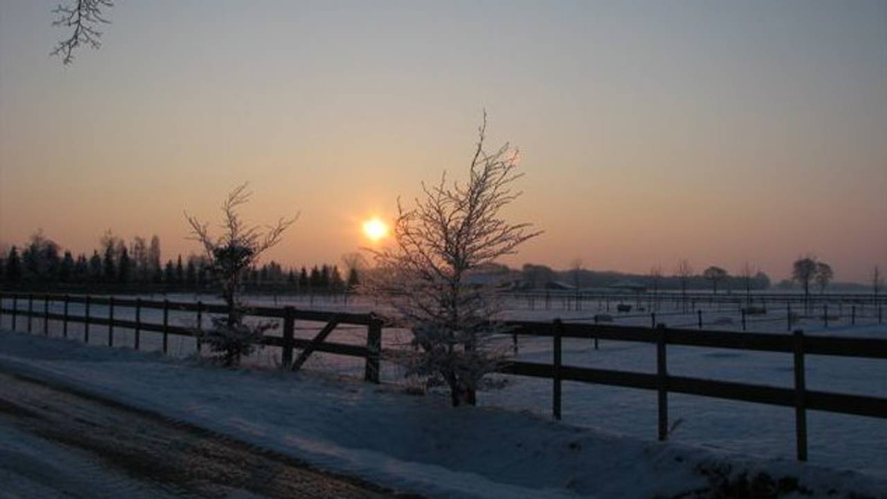 Winterfestijn in Oss