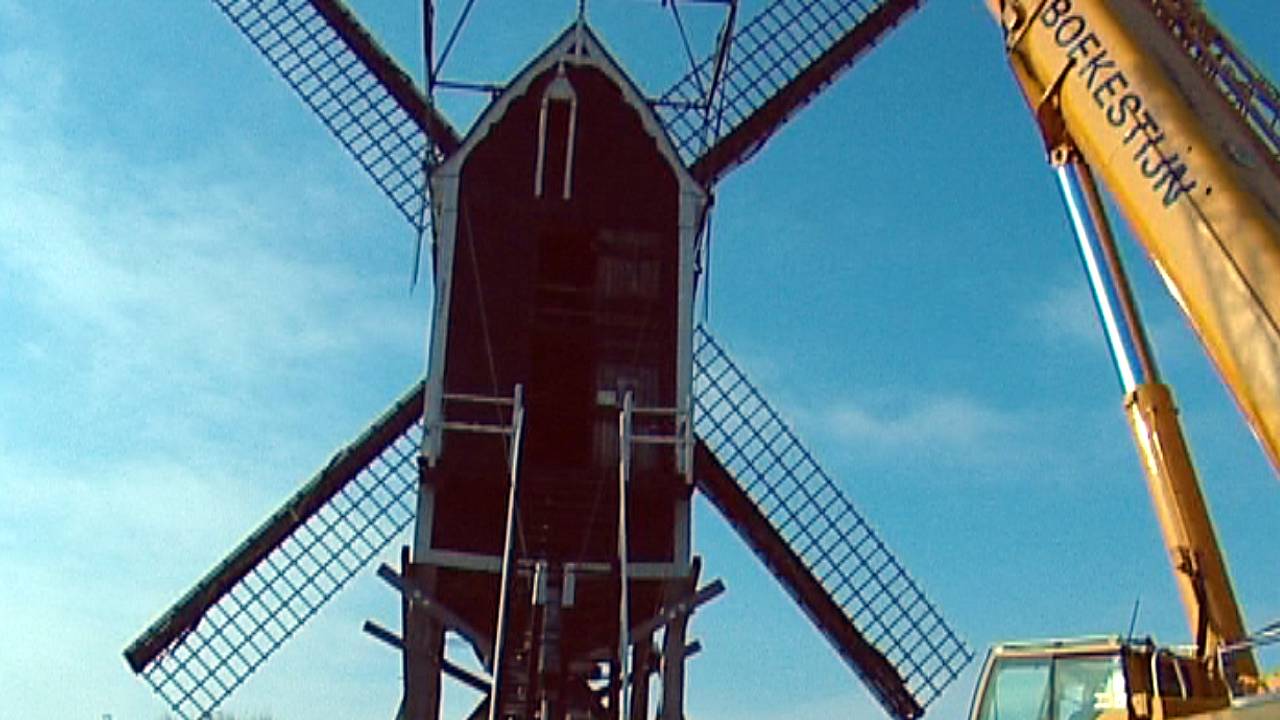 Foto's: Loek van Tongeren
