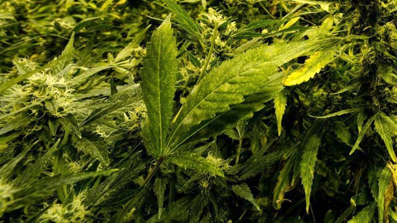 De politie had beet in Oss (foto: archief).