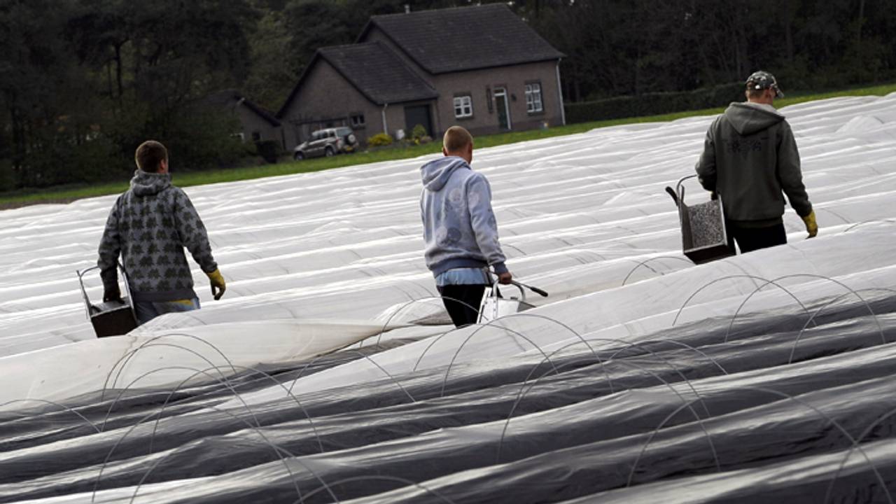 De meeste Polen wonen in Zundert en Someren