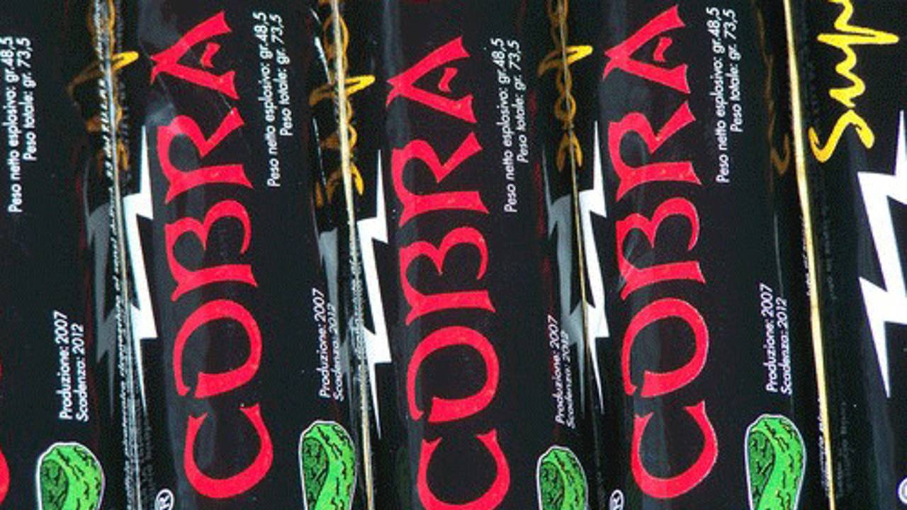 Dertig Cobra's gevonden in Roosendaal. (Foto: archief)