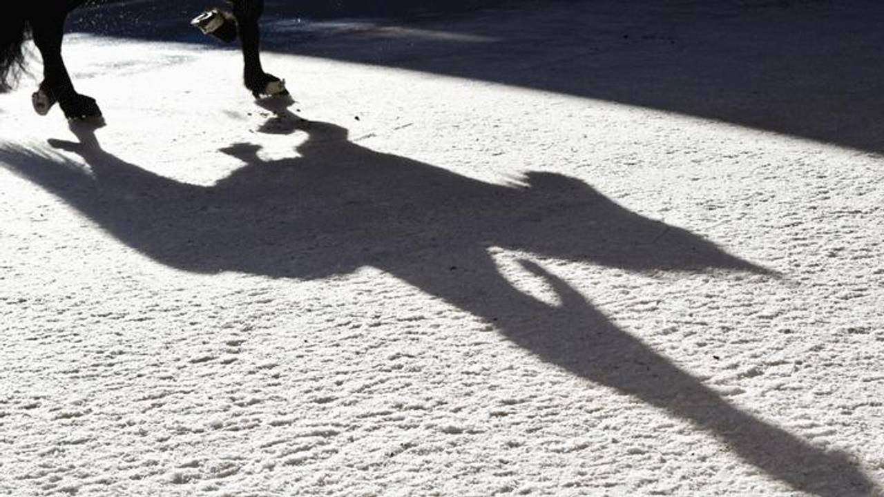 Paardensport in de Brabanthallen