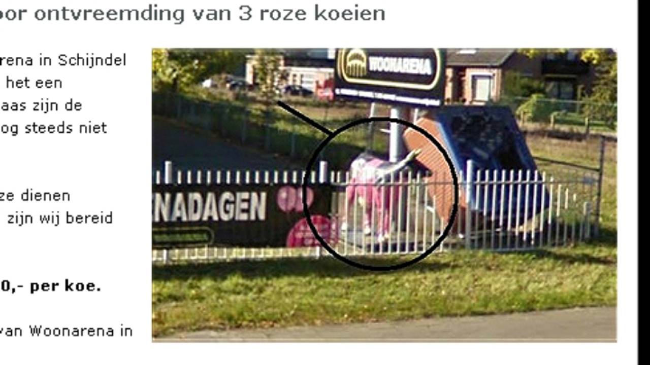 Een roze koe bij de winkel (bron: Website Woonarena)