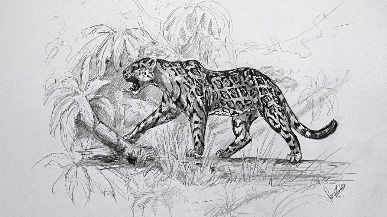 Reconstructietekening van de jaguar. (Foto: Oertijdmuseum Boxtel)