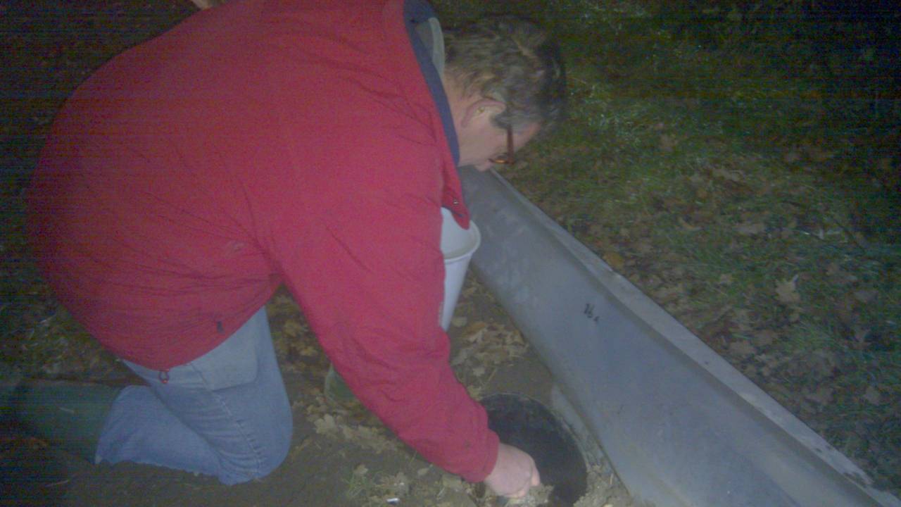 Ga naar slide 2