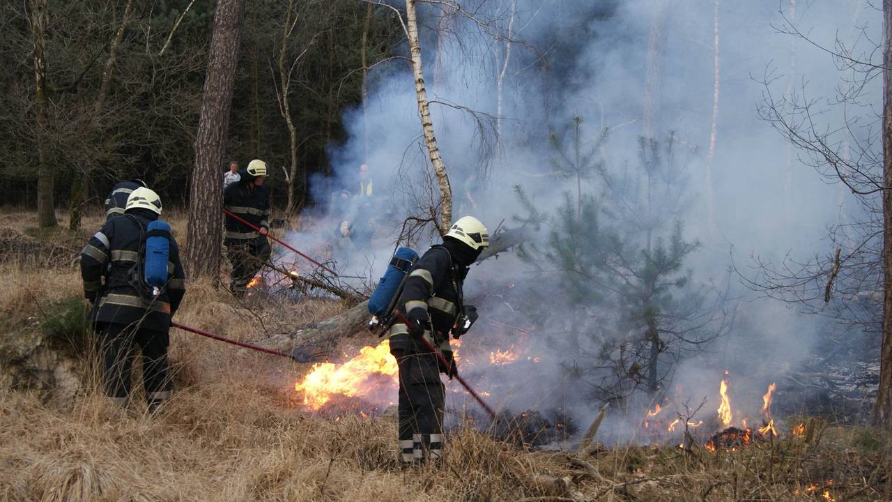 Ga naar slide 1
