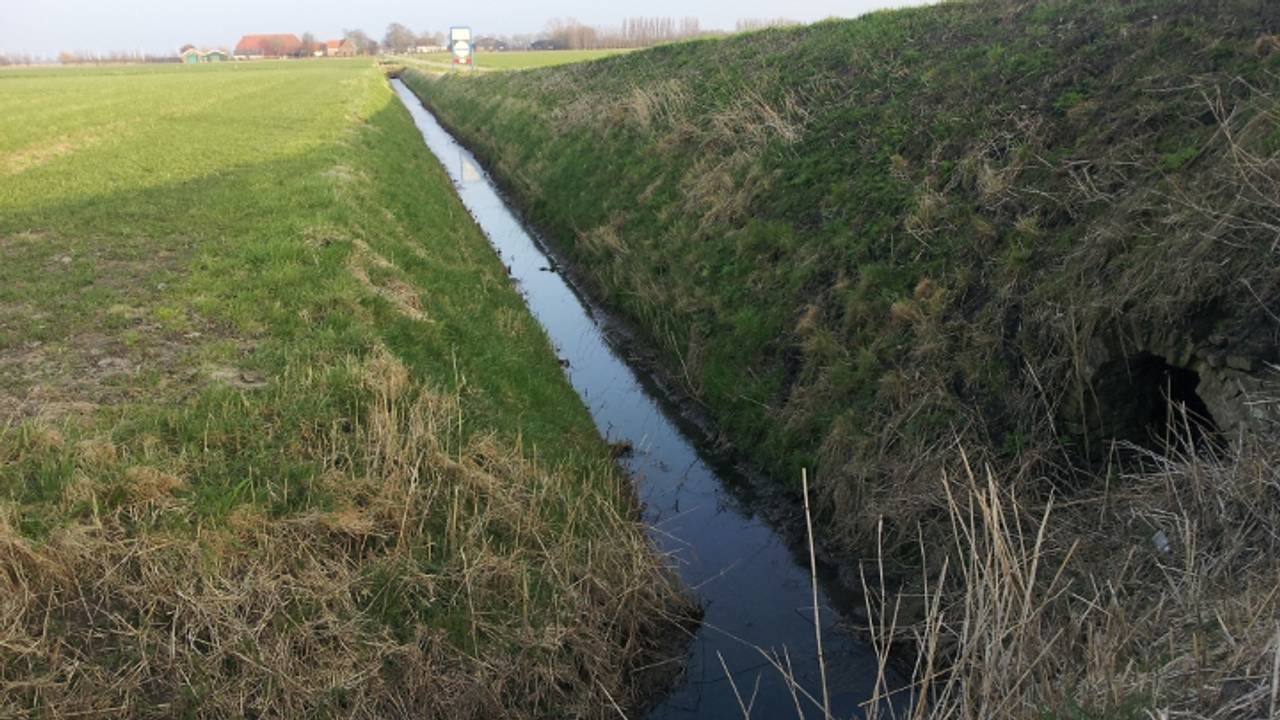 Door de droogte wordt de waterkwaliteit bedreigd.