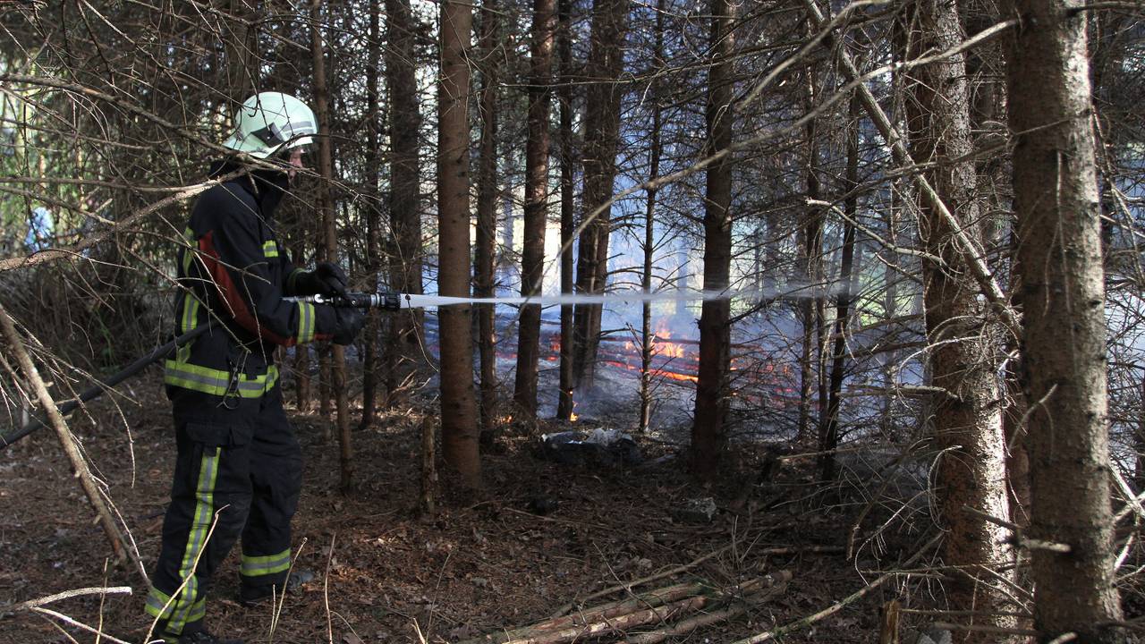 De brand in het bosperceel (Foto: Bart Meesters / Meester Multimedia)