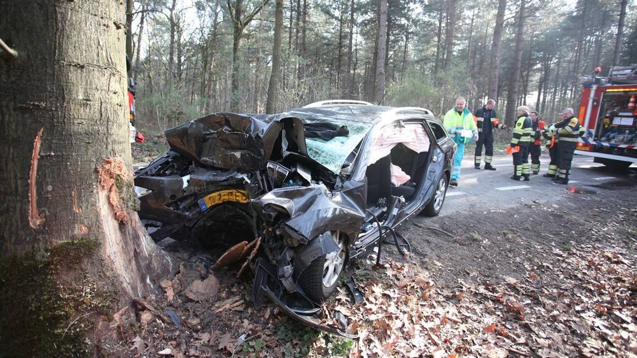De auto reed op de boom. (Foto: Jeroen Stuve/Mainstay Media Breda)