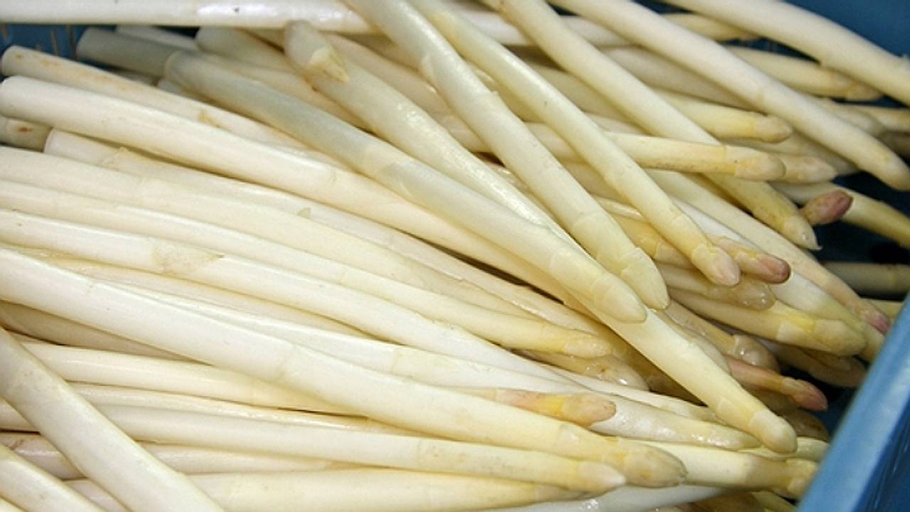 Het witte goud (archieffoto: Karin Kamp)