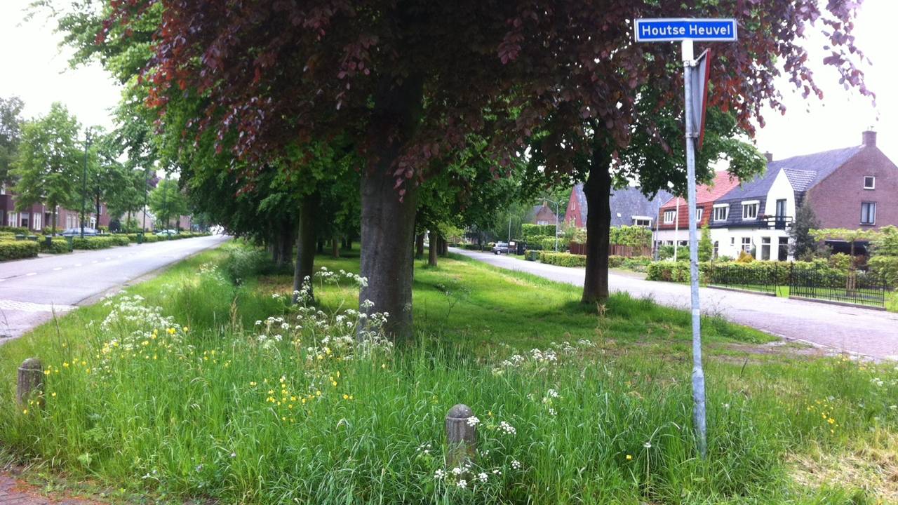 Ga naar slide 1