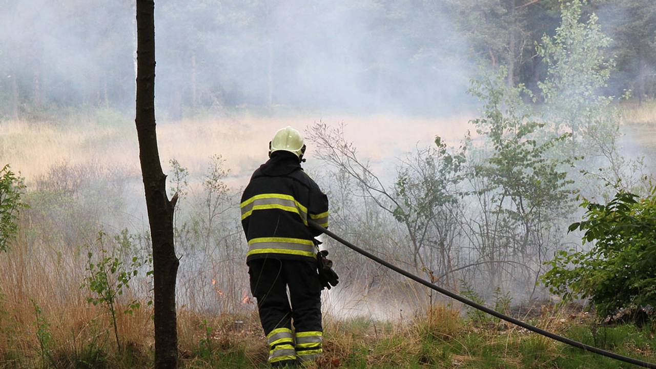 Foto: Hans van Hamersveld/SQ Vision