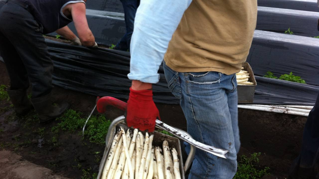 Polenhotel Veghel definitief van de baan