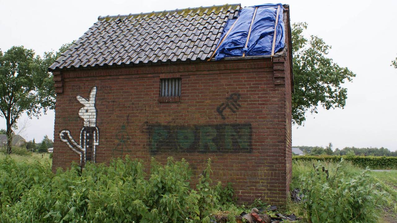 Hennepkwekerij in stroomhuis (Foto: Martijn van Bijnen/FPMB)