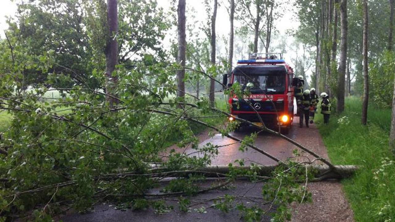 In Liempde (foto: Sander van Gils-SQ Vision)