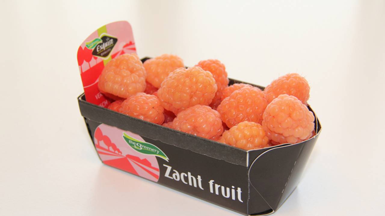 In 2014 liggen de oranje frambozen in de schappen. (Foto: Greenery)