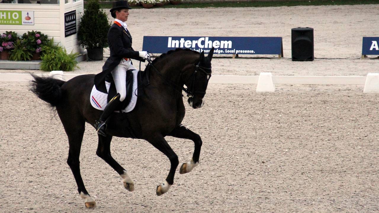 Ga naar slide 4