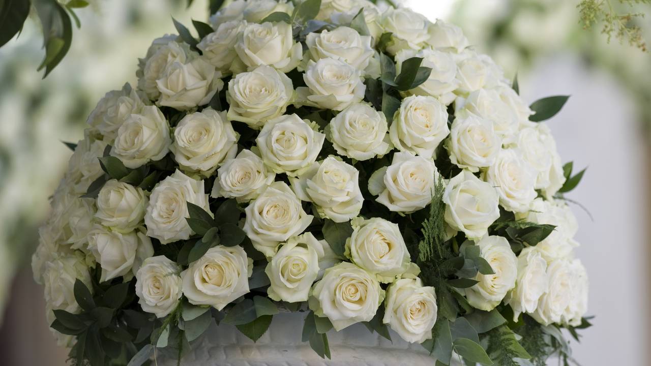 Woede om diefstal bloempot van graf in Oosterhout.