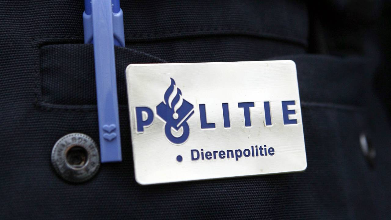 Controle van dierenpolitie in Waalre en Tilburg