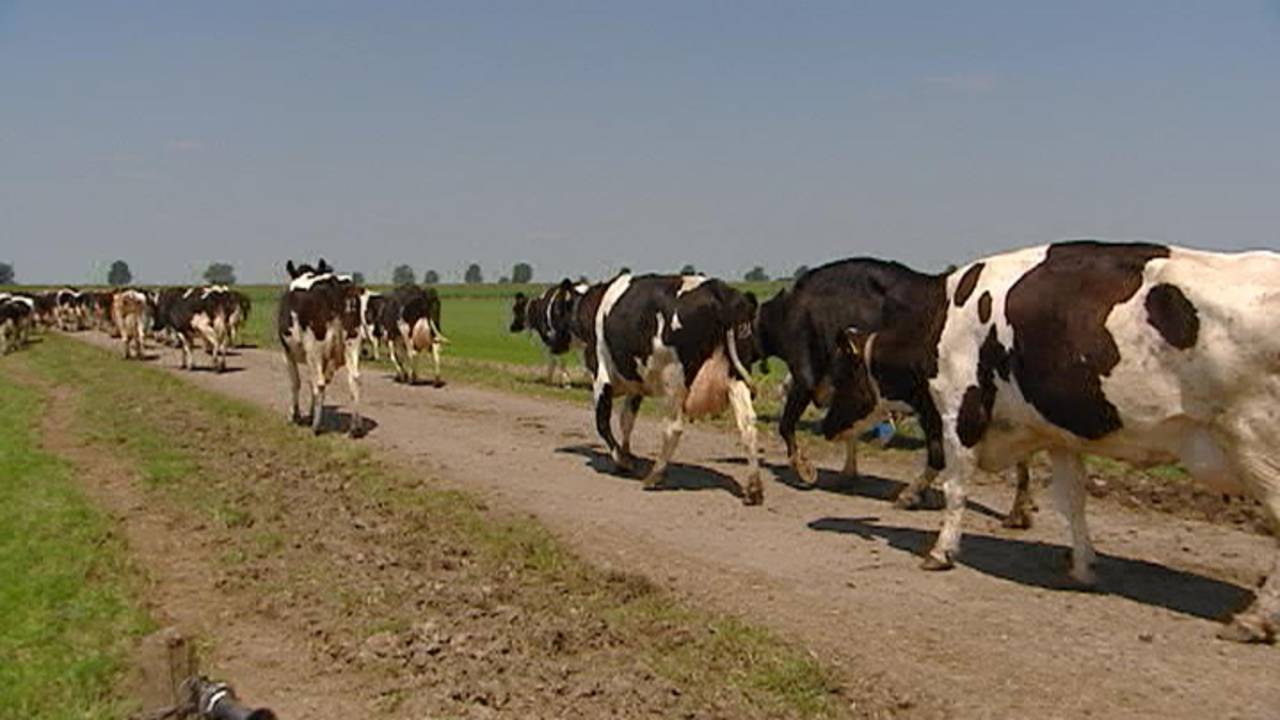 Ga naar slide 1