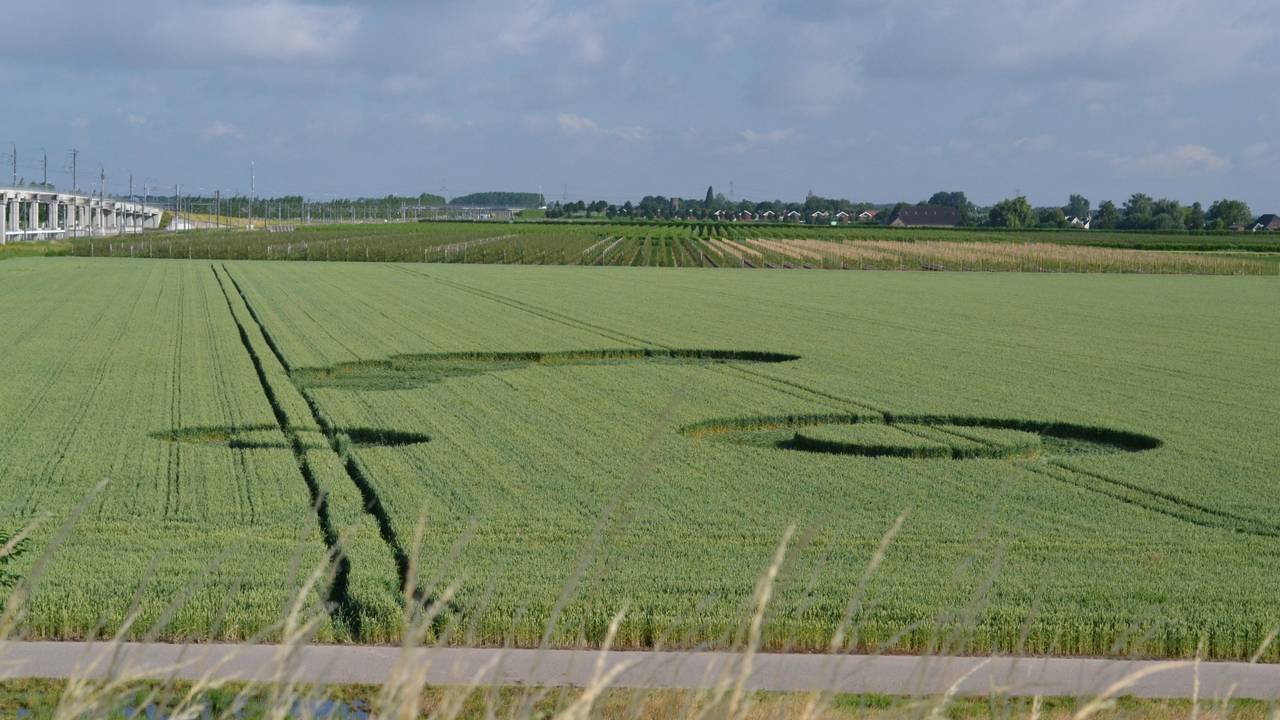 Ga naar slide 1