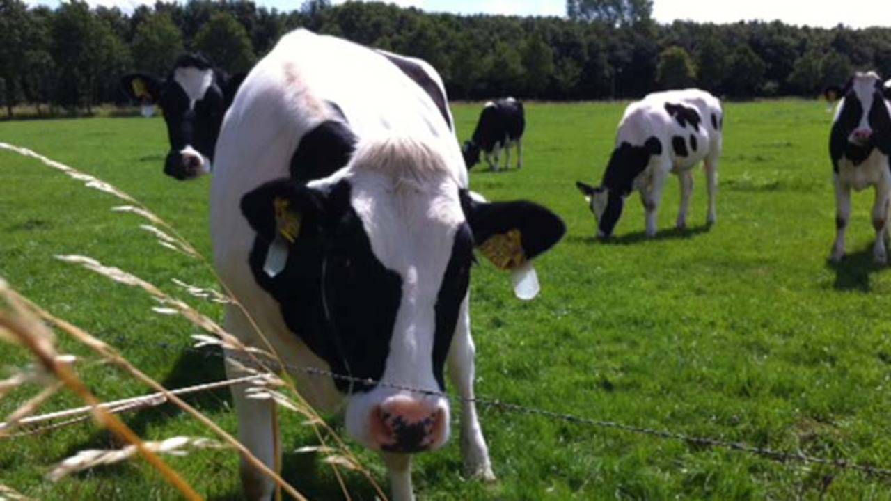 Het bedrijf mag groeien (Foto: archief)