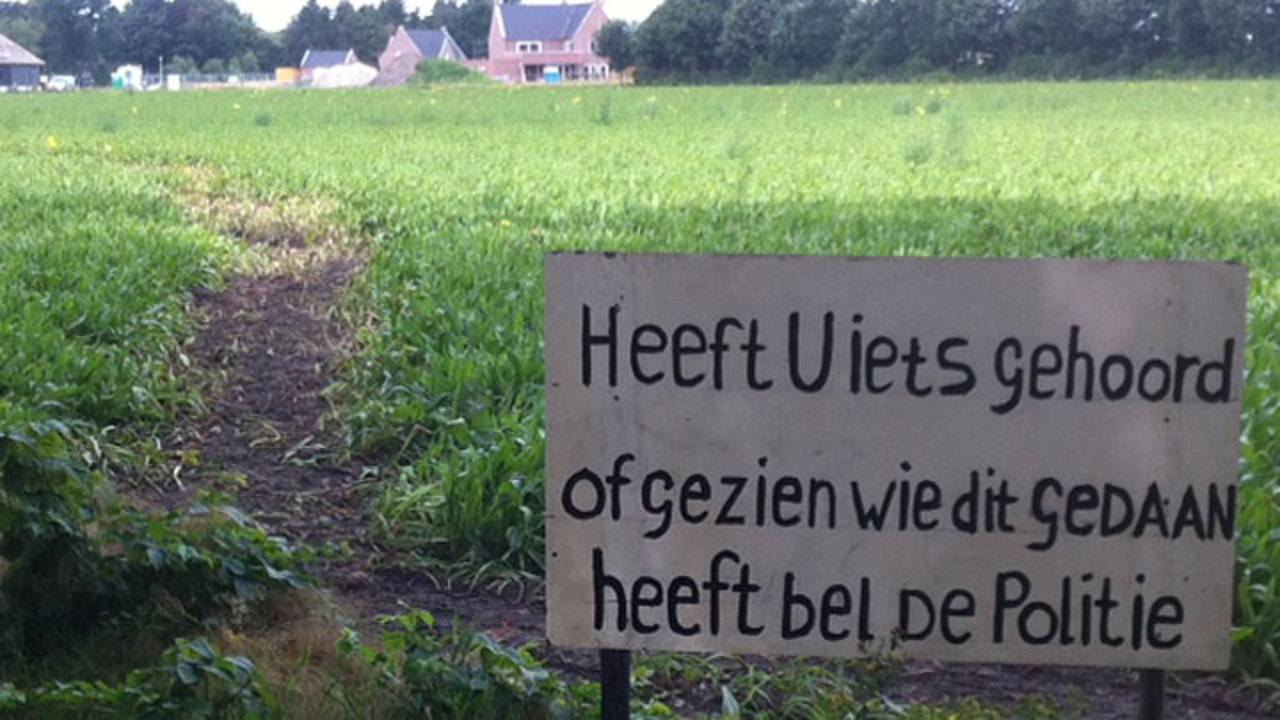 Het vernielde weiland in Soerendonk