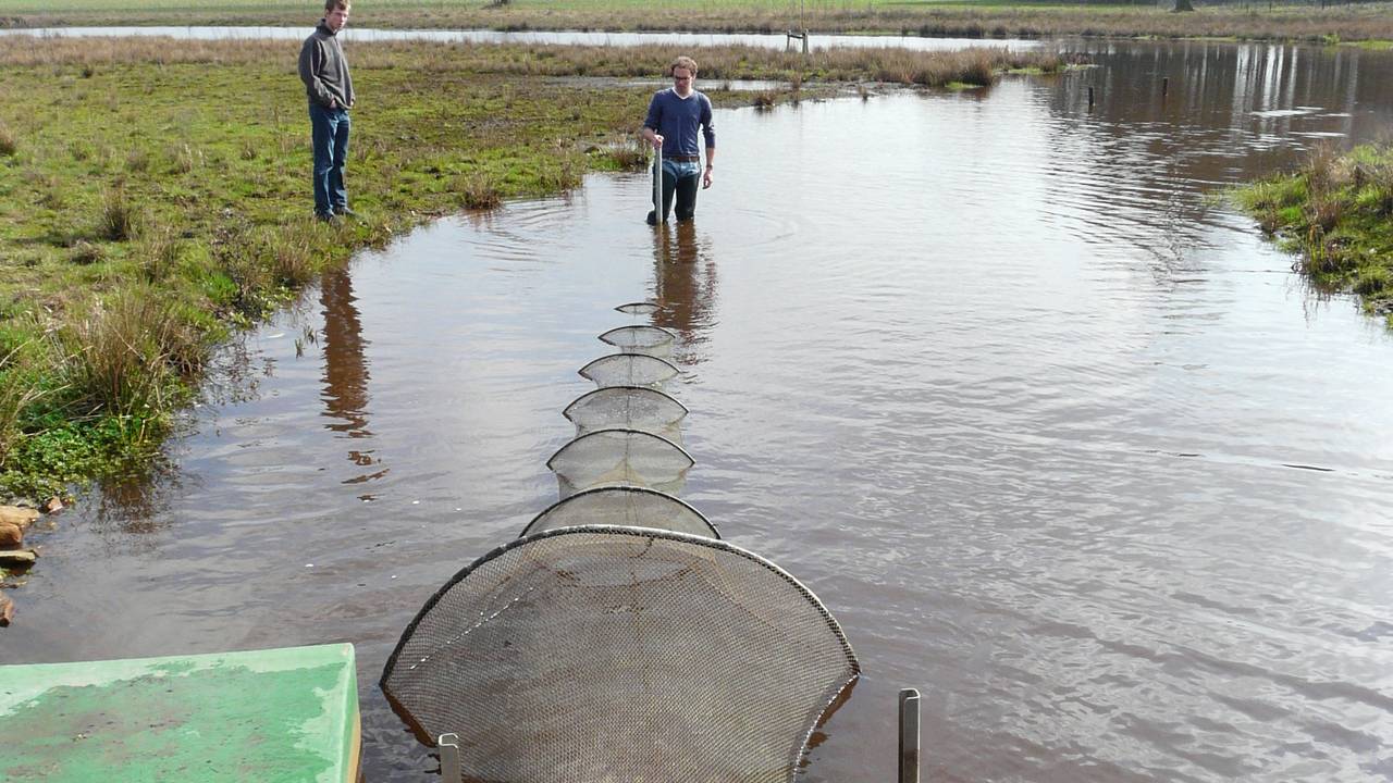 Foto: Waterschap Aa en Maas
