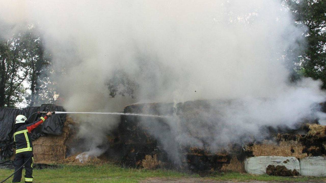 Flinke rookontwikkeling (foto: Bart Meesters)