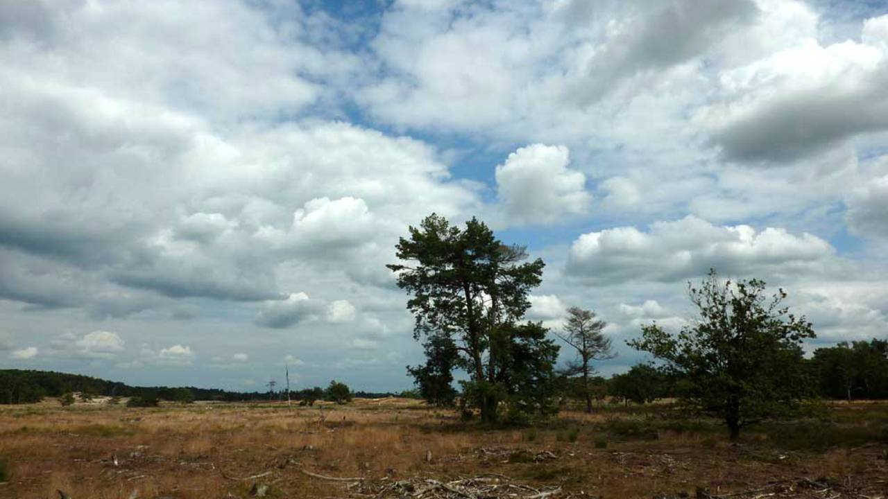 De Loonse en Drunese Duinen