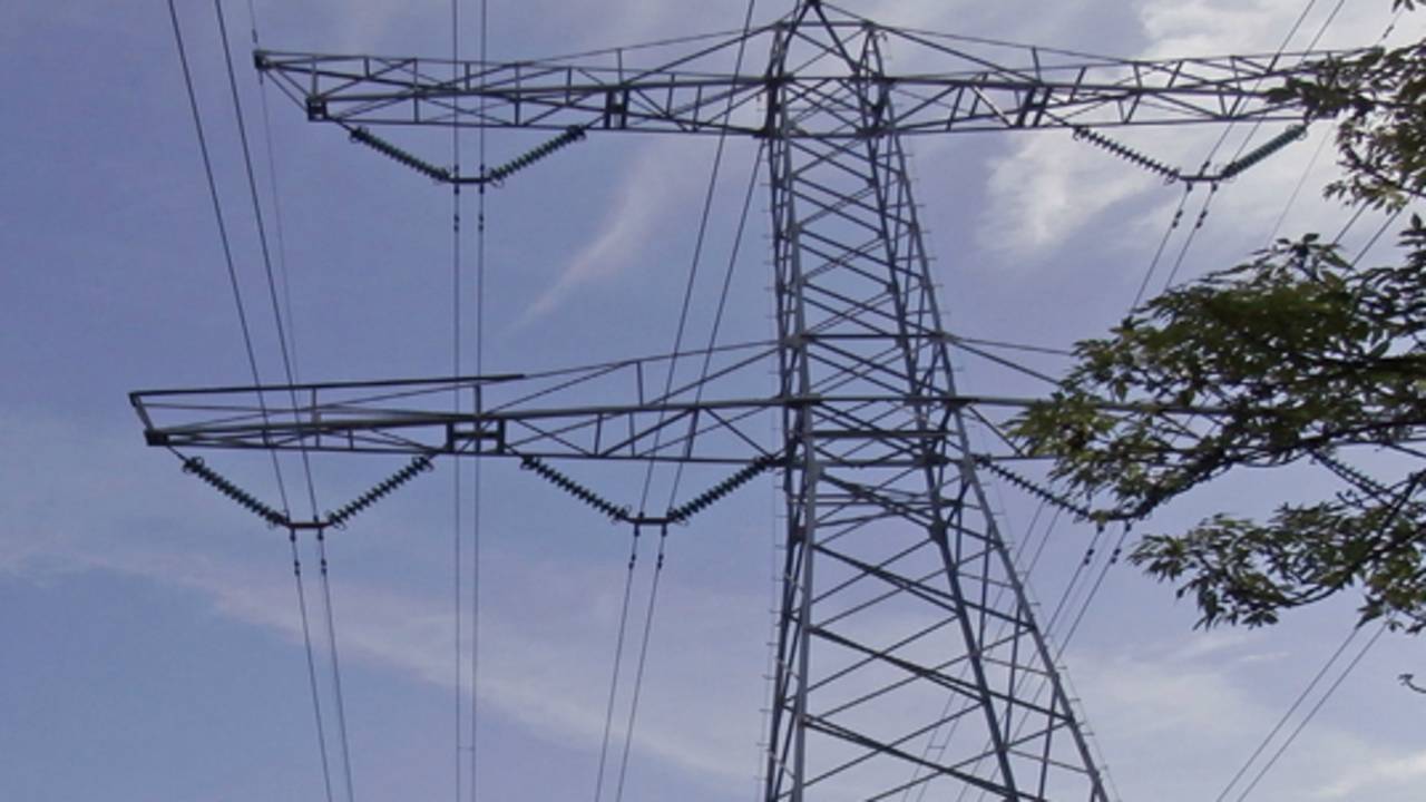 In Budel start een proef om stroom op te wekken uit planten. (Archieffoto)