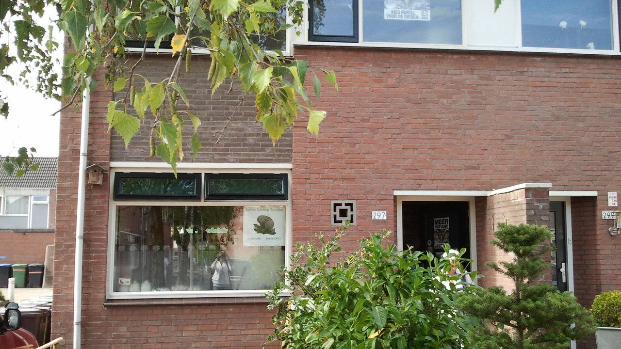 Ga naar slide 8