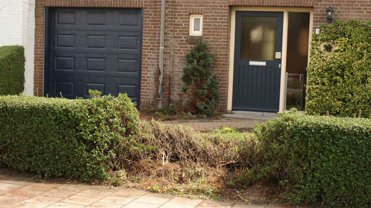 De schade valt mee. Foto: Erik Haverhals / fpmb