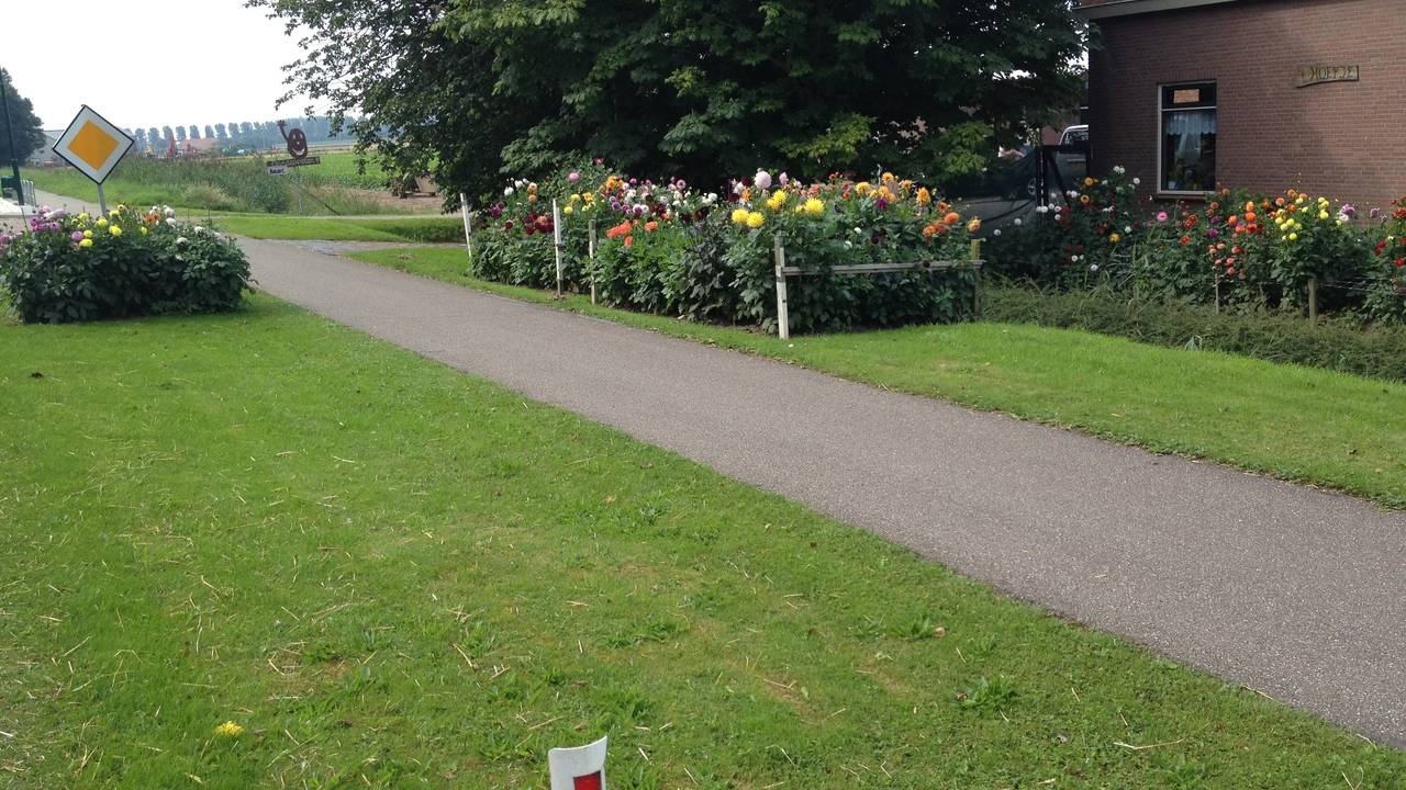 Ga naar slide 4