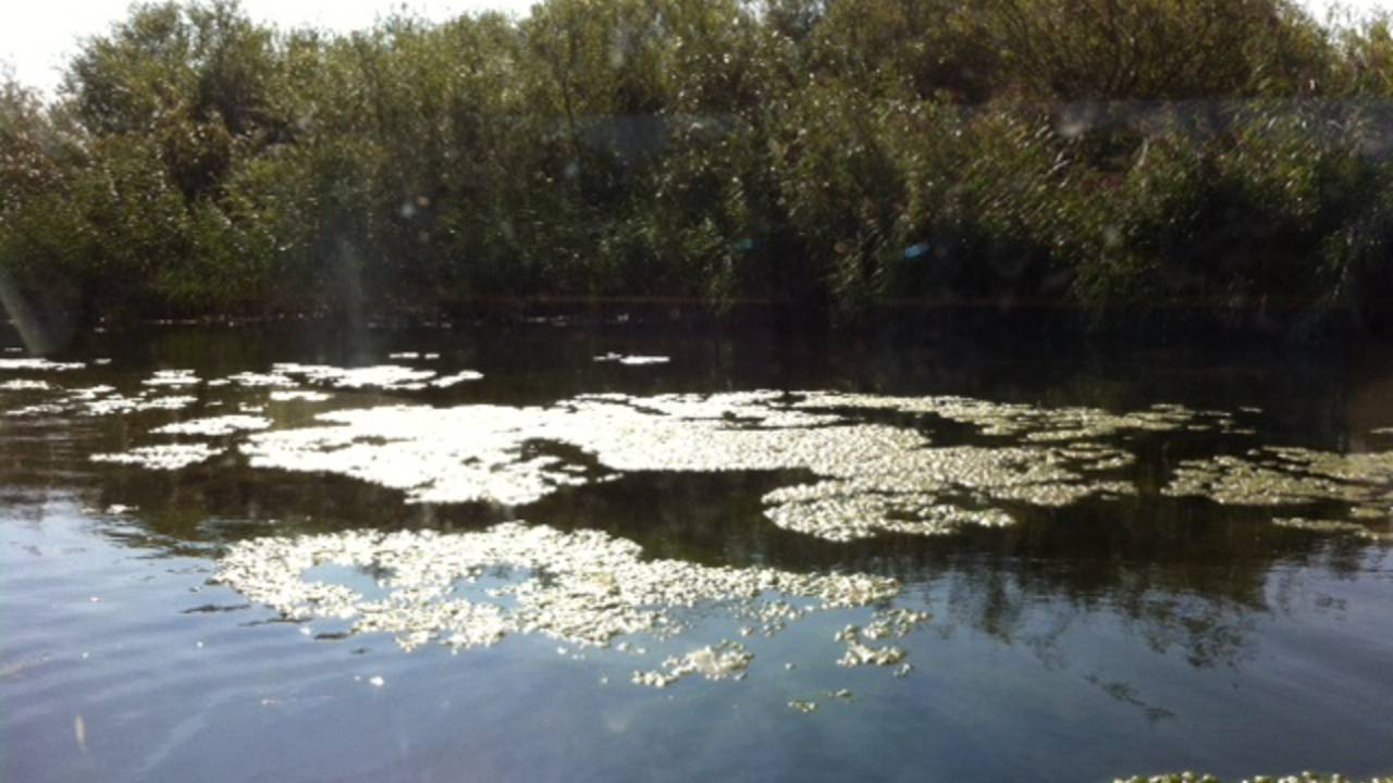 Ook de Biesbosch moet zelf de broek ophouden.